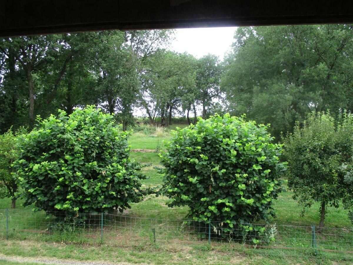 Homestay Bienvenue Dans Notre Petit Paradis *