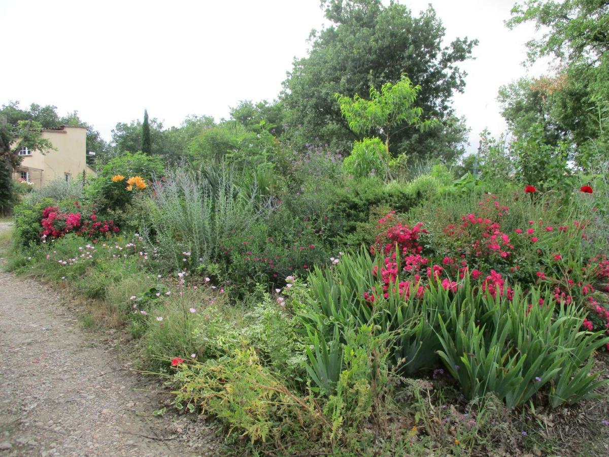 Homestay Bienvenue Dans Notre Petit Paradis